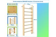 Стенка шведская 2000х800 боковина 110 (массив.сосна) Dinamika ZSO-004502