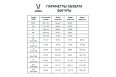 Шорты игровые Jogel DIVISION PerFormDRY Union Shorts, темно-синий/синий/белый фото 3