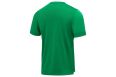 Футболка игровая Jogel DIVISION PerFormDRY Union Jersey, зеленый фото 5