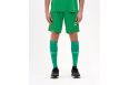 Шорты игровые Jogel DIVISION PerFormDRY Union Shorts, зеленый фото 9
