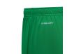 Шорты игровые Jogel DIVISION PerFormDRY Union Shorts, зеленый фото 1