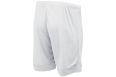 Шорты игровые Jogel DIVISION PerFormDRY Union Shorts, белый/белый фото 1