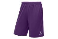 Шорты баскетбольные Jogel Camp Basic, фиолетовый