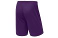 Шорты баскетбольные Jogel Camp Basic, фиолетовый фото 5