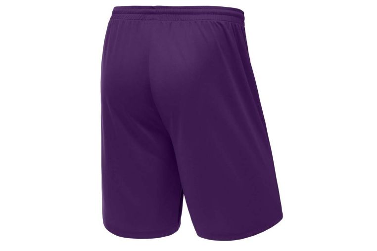 Шорты баскетбольные Jogel Camp Basic, фиолетовый фото 5