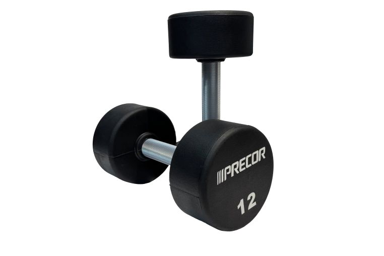 Набор гантелей в уретане PRECOR UPD-NS набор, 12-50 кг, шаг 2 кг, нестандартный молд 