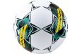 Мяч футбольный Select Pioneer TB V23 0864060005 р.4 фото 2