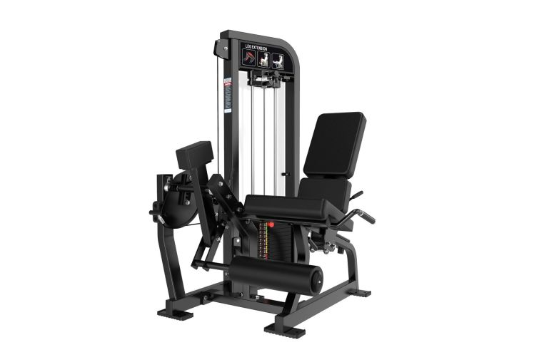 Разгибание ног сидя Protrain CP113 