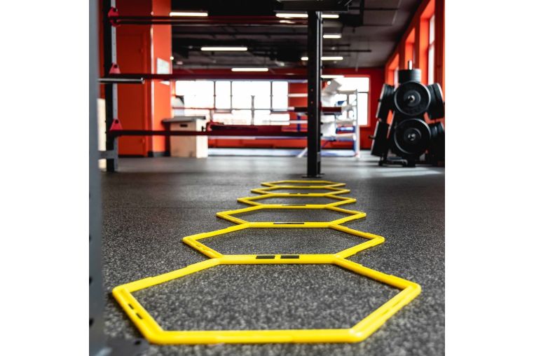 Лестница для функциональных тренировок PROFI-FIT фото 1