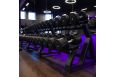 Гантельный ряд POWER (шаг 2,5 кг, 5 пар) PROFI-FIT 40-50 кг фото 3