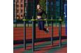 W309 Воркаут Брусья стандартные ZAVODSPORTA фото 3