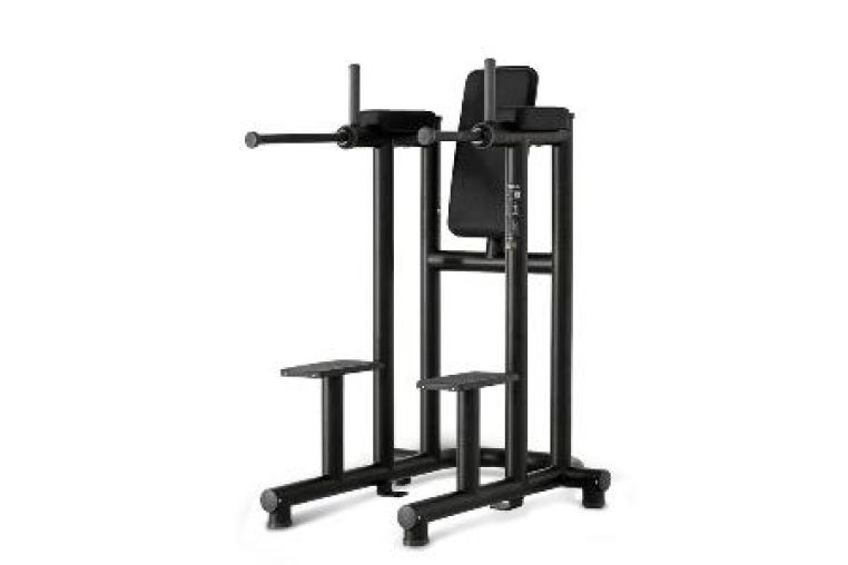 Technogym Leg Raise Dip 