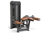 Сгибание ног AnyFit PE203-84