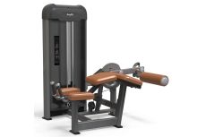 Сгибание ног AnyFit PE203-84