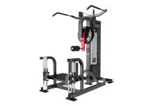 Мультихип Protrain CP120