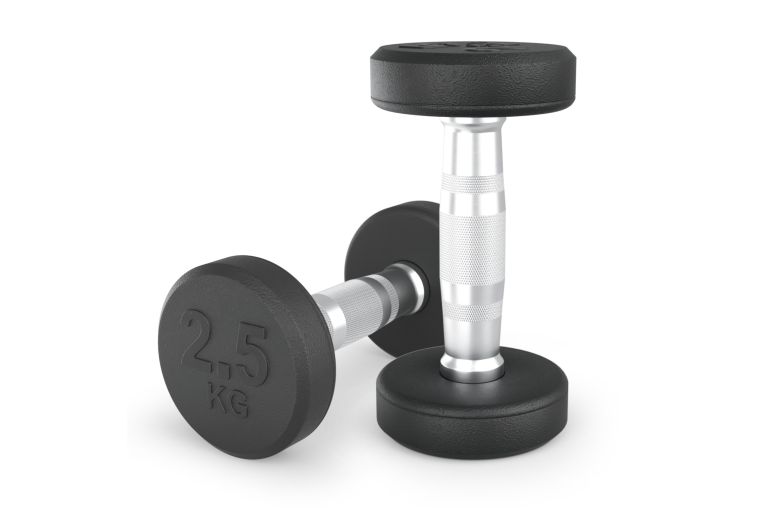 Гантель UNIX Fit PRO круглая обрезиненная 2,5 кг, 2 шт. 